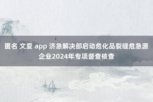 匿名 文爱 app 济急解决部启动危化品裂缝危急源企业2024年专项督查核查