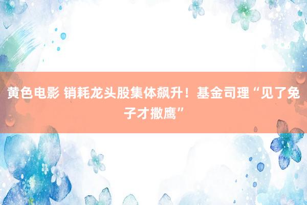 黄色电影 销耗龙头股集体飙升！基金司理“见了兔子才撒鹰”
