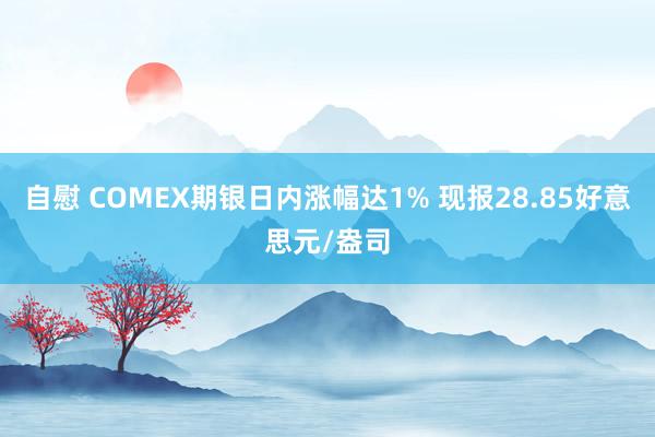 自慰 COMEX期银日内涨幅达1% 现报28.85好意思元/盎司