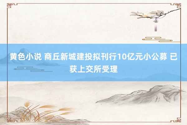 黄色小说 商丘新城建投拟刊行10亿元小公募 已获上交所受理