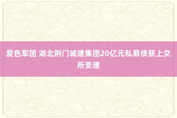 爱色军团 湖北荆门城建集团20亿元私募债获上交所受理