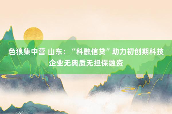 色狼集中营 山东：“科融信贷”助力初创期科技企业无典质无担保融资