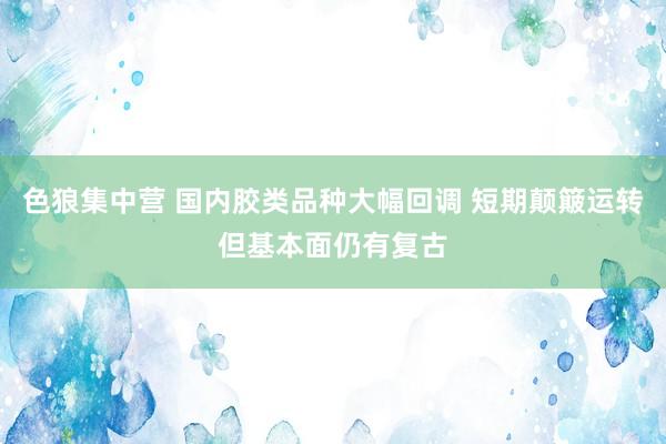 色狼集中营 国内胶类品种大幅回调 短期颠簸运转但基本面仍有复古