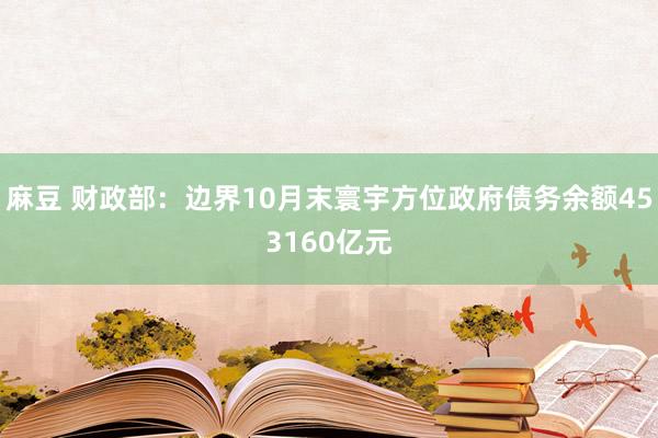 麻豆 财政部：边界10月末寰宇方位政府债务余额453160亿元