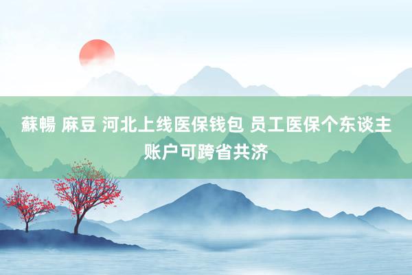 蘇暢 麻豆 河北上线医保钱包 员工医保个东谈主账户可跨省共济