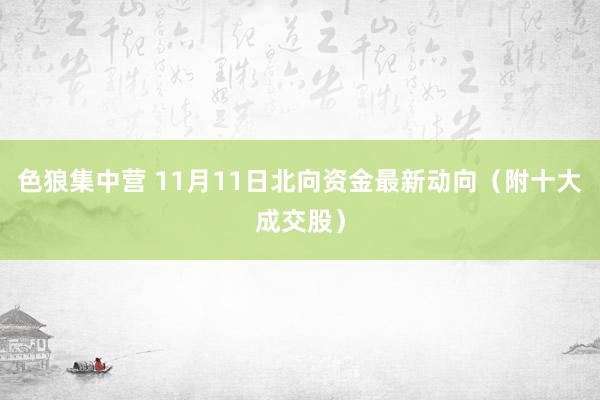 色狼集中营 11月11日北向资金最新动向（附十大成交股）