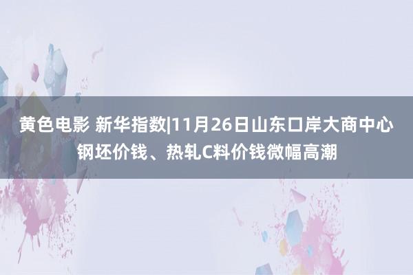 黄色电影 新华指数|11月26日山东口岸大商中心钢坯价钱、热轧C料价钱微幅高潮