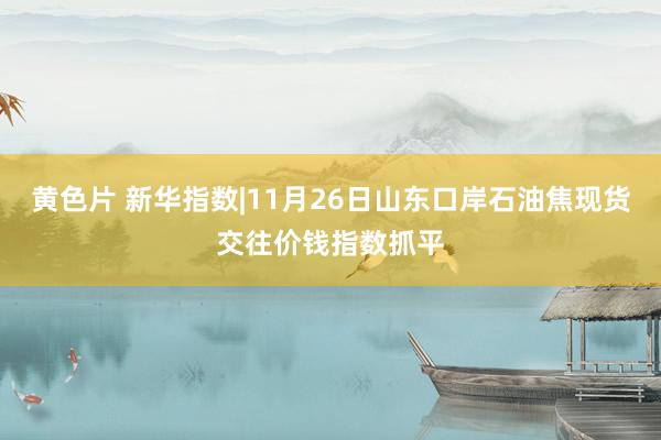 黄色片 新华指数|11月26日山东口岸石油焦现货交往价钱指数抓平
