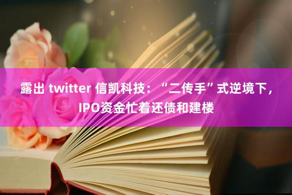 露出 twitter 信凯科技：“二传手”式逆境下，IPO资金忙着还债和建楼