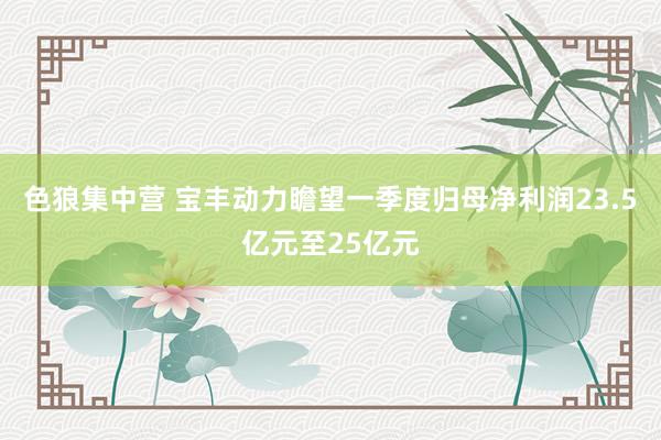 色狼集中营 宝丰动力瞻望一季度归母净利润23.5亿元至25亿元