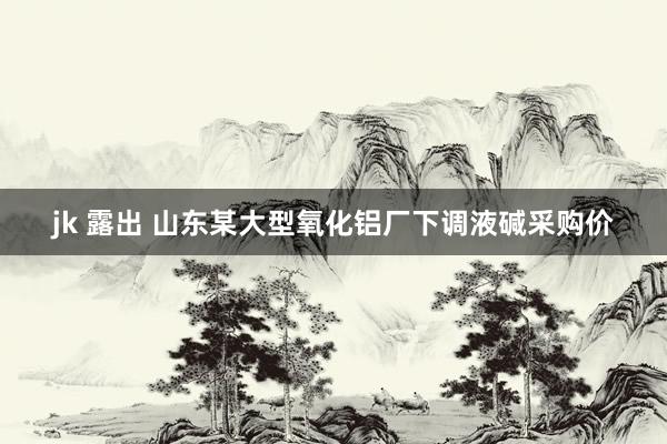 jk 露出 山东某大型氧化铝厂下调液碱采购价